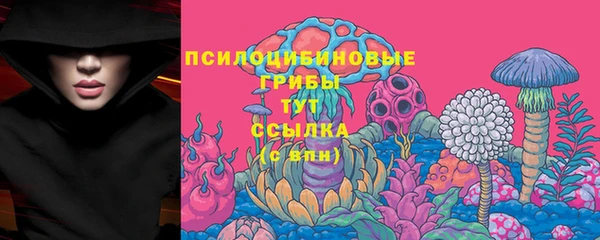синтетический гашиш Белокуриха