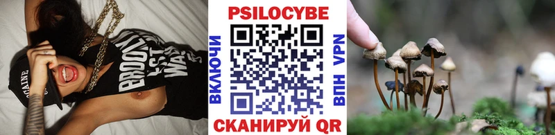 наркотики  Кыштым  Псилоцибиновые грибы Psilocybine cubensis 